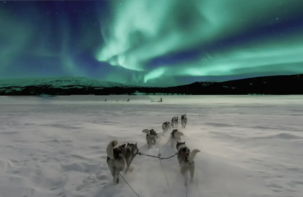 Bir tekneden görülen fiyort manzarasının üzerinde dalgalanan Norveç bayrağı